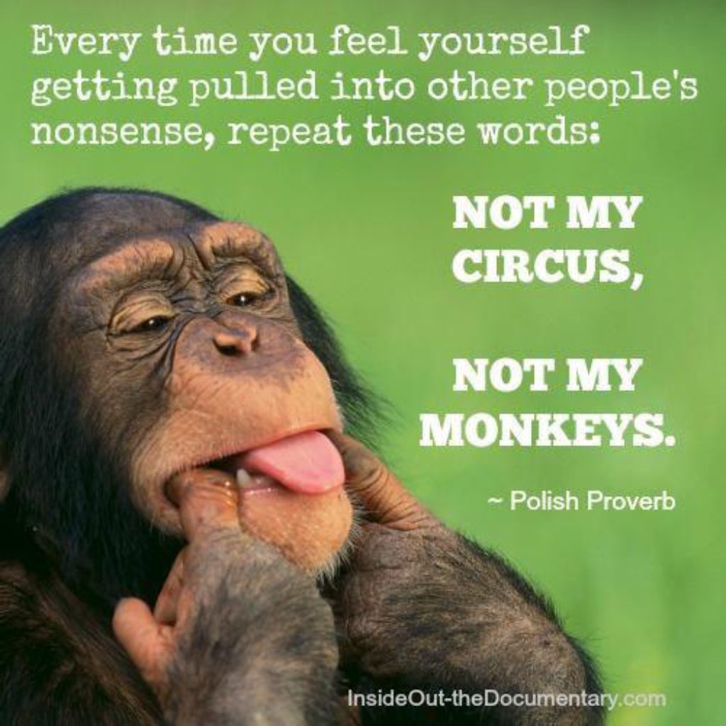 Not my circus, not my monkeys- Worry about your DAMN SELF OK! – Miss Naja